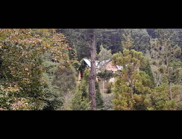 FARM FOR SALE IN HOGSBACK